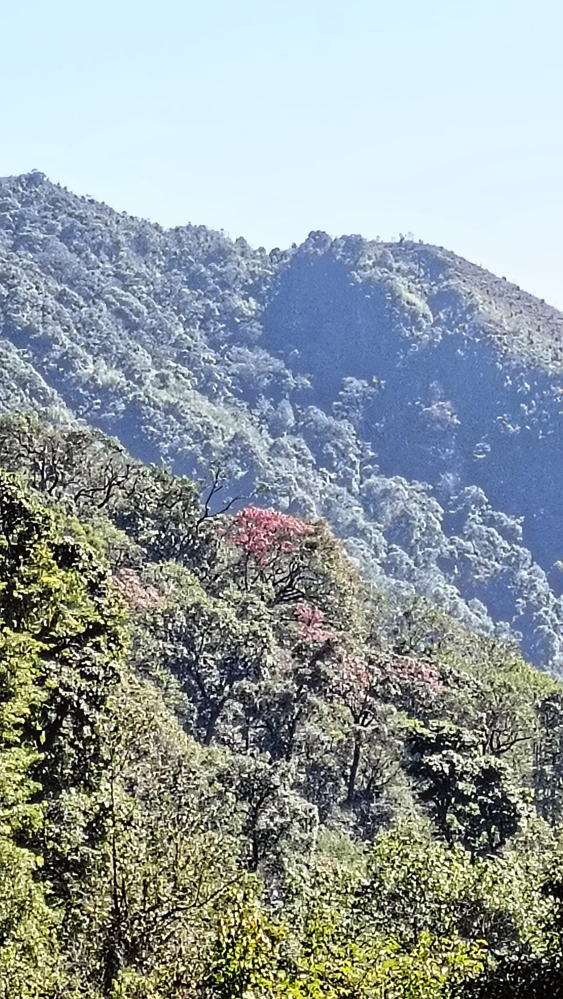 Hiking Northeast Vietnam Tour 7 Days